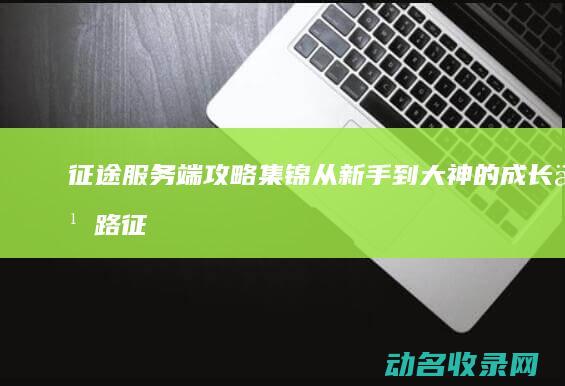 征途服务端攻略集锦 从新手到大神的成长之路 (征途服务端攻略图)